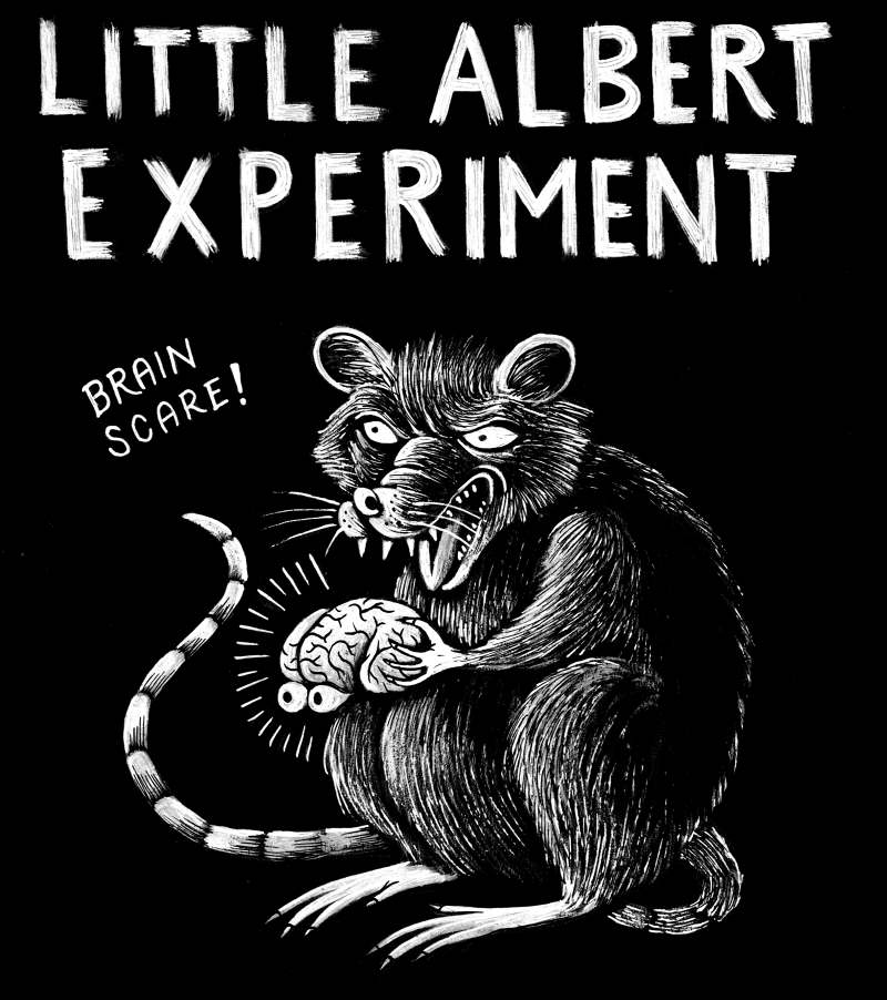 The Little Store >> Little Albert Experiment - Matteo Farinella The Little Store >> Little Albert Experiment - Matteo Farinella
